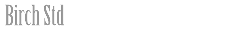 Birch Std