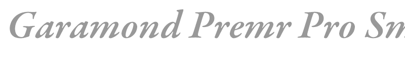 Garamond Premier Pro