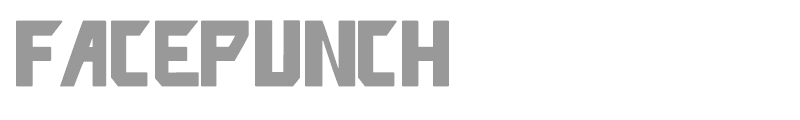 facepunch