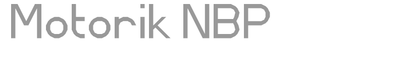 Motorik NBP