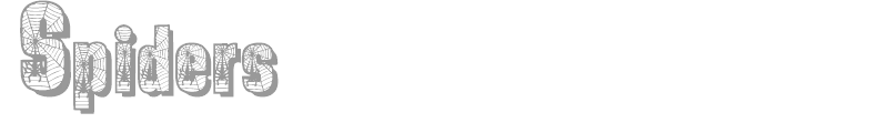 Spiders