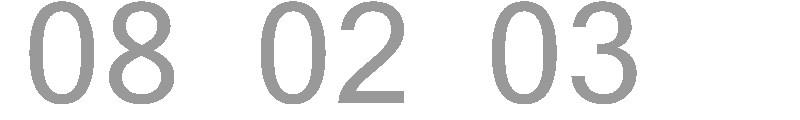 08 02 03