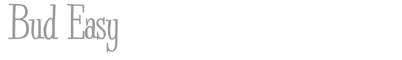 Bud Easy