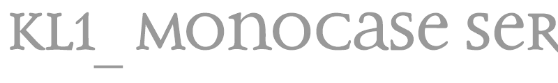 KL1_ Monocase Serif