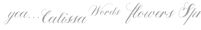 Calissa Words