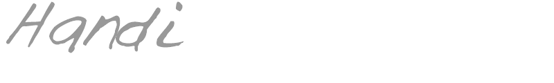 Handi