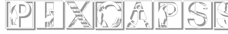 PixCapsShadow