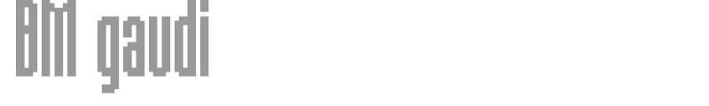 BM gaudi
