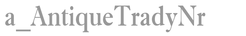 a_AntiqueTradyNr