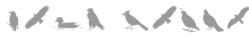 Bird Silhouettes