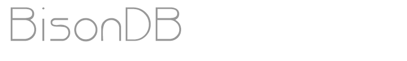 BisonDB