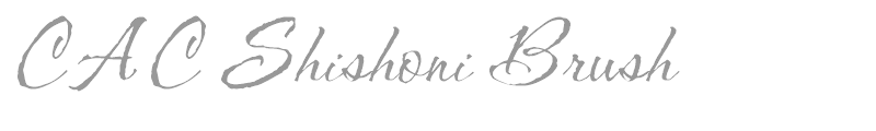 CAC Shishoni Brush
