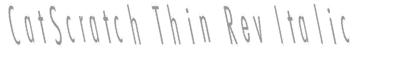 CatScratch Thin Rev Italic