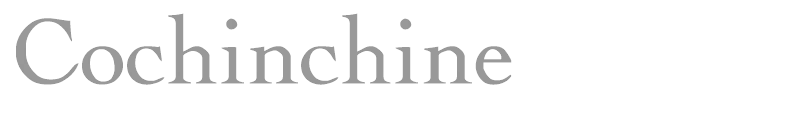 Cochinchine