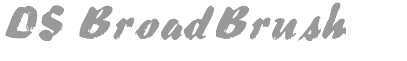 DS BroadBrush