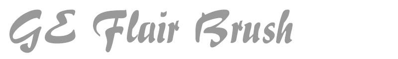 GE Flair Brush