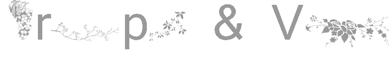 Grape & Vine