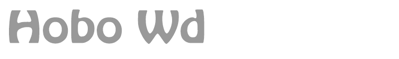 Hobo Wd