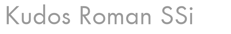Kudos Roman SSi