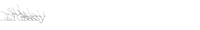 LTGrassy
