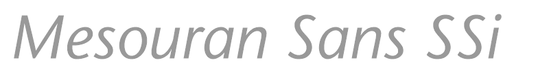 Mesouran Sans SSi
