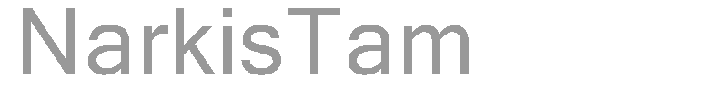 NarkisTam