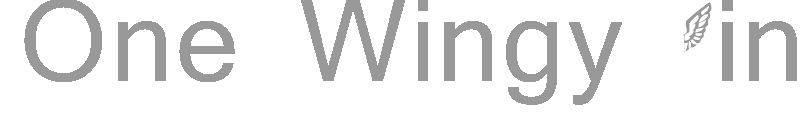 One Wingy Dingy