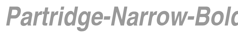 Partridge-Narrow-BoldOblique