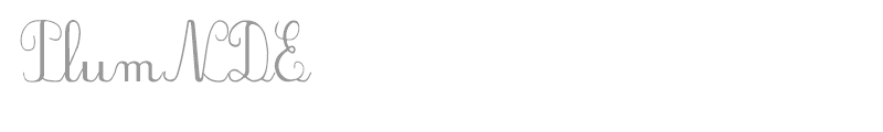 PlumNDE