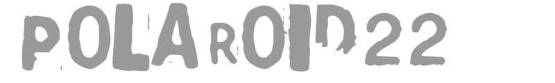 Polaroid22