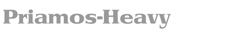 Priamos-Heavy