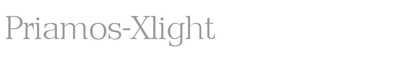 Priamos-Xlight