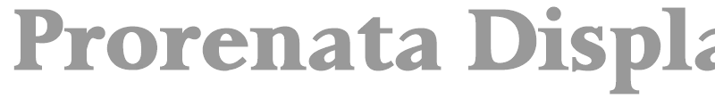 Prorenata Display SSi