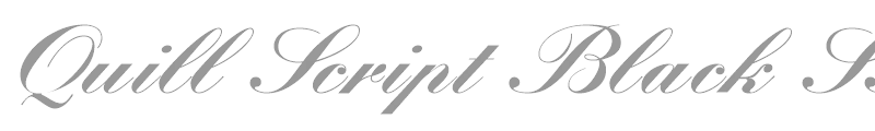 Quill Script Black SSi
