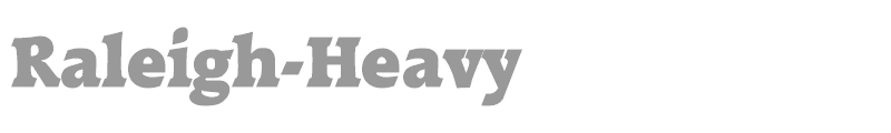 Raleigh-Heavy