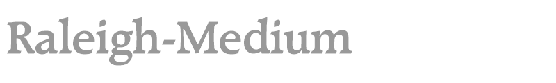 Raleigh-Medium