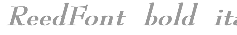 ReedFont bold italic