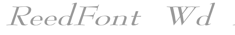 ReedFont Wd italic
