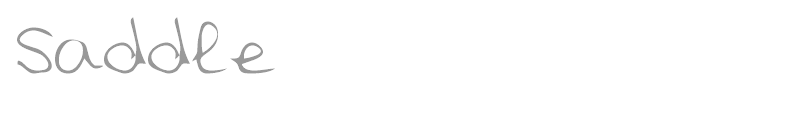 Saddle