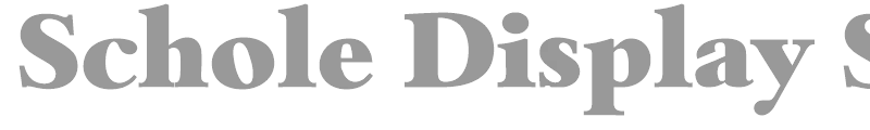 Schole Display SSi