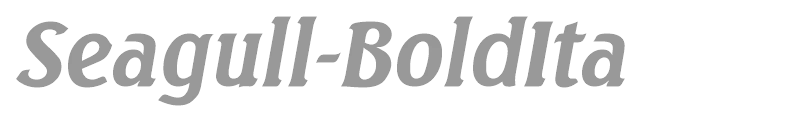 Seagull-BoldIta
