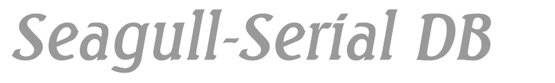 Seagull-Serial DB