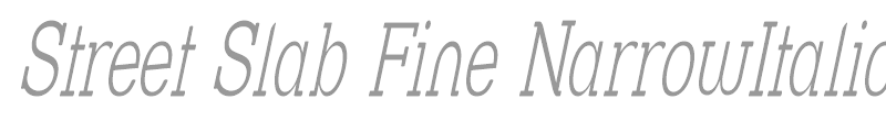 Street Slab Fine NarrowItalic