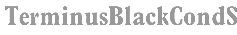 TerminusBlackCondSSK
