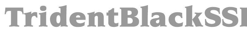 TridentBlackSSK