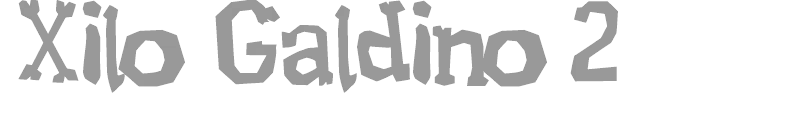 XiloGaldino 2