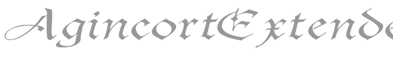 AgincortExtended