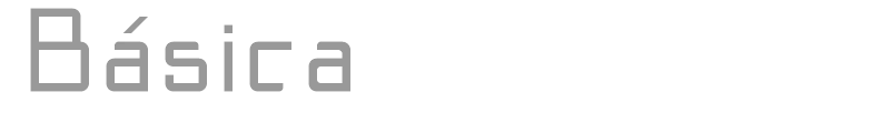 Bsica