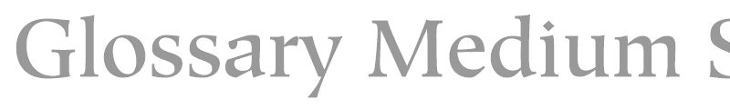 Glossary Medium SSi