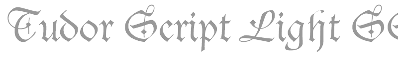 Tudor Script Light SSi